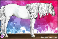 Horse Color:Gray White Spotted Smoky Black Ice Tobiano 