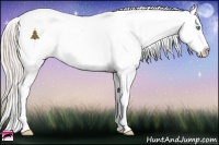 Horse Color:Palomino Pearl Dun Appaloosa Rabicano 