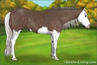 Horse Color:Silver Black Splash