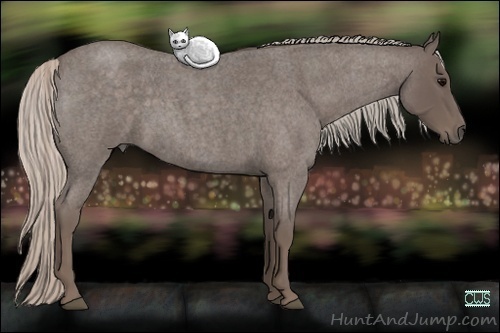 Horse Color:Silver Blue Roan 