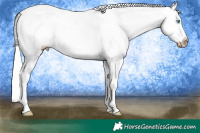 Horse Color:Gray White Spotted Silver Perlino Dun Splash Tobiano Frame Appaloosa Rabicano