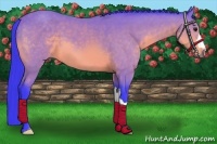 Horse Color:Watercolor Buckskin 