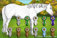 Horse Color:Gray Silver Amber Cream Champagne Roan Dun Splash Tobiano Frame Appaloosa Rabicano 