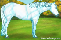 Horse Color:Gray Thunderstruck Chestnut Sabino 