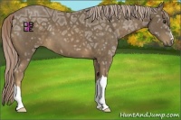 Horse Color:Chocolate Palomino Ice 