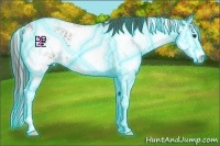 Horse Color:Thunderstruck Liver Chestnut Sabino