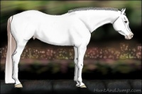 Horse Color:Grullo Ice Sabino Appaloosa Rabicano