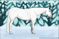 Horse Color:Gray Silver Sable Champagne Dun Splash Frame Appaloosa