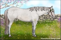 Horse Color:Brown Dun Appaloosa 