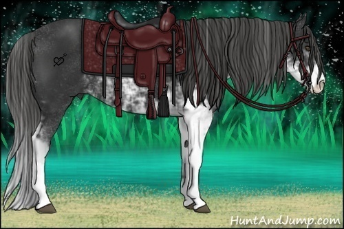 Horse Color:Liver Chestnut Sabino