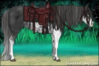 Horse Color:Liver Chestnut Sabino