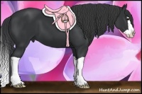 Horse Color:Black Splash