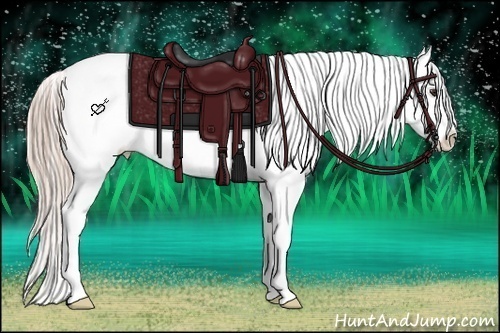 Horse Color:Palomino Near Leopard