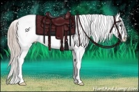 Horse Color:Palomino Near Leopard 