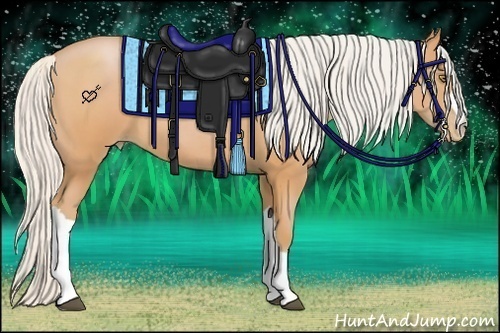 Horse Color:Silver Bay Pearl 