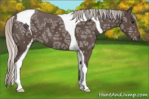Horse Color:Silver Black Ice Tobiano 