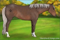 Horse Color:Silver Black 