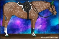 Horse Color:Chestnut Ice 