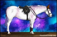 Horse Color:Watercolor White Spotted Amber Champagne Roan Dun