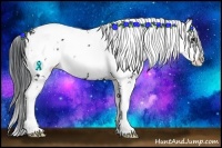 Horse Color:Black Sabino