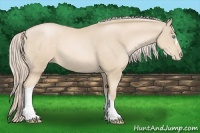 Horse Color:Palomino Pearl