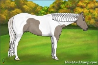 Horse Color:Silver Smoky Grullo Tobiano Frame 