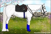 Horse Color:White Spotted Palomino Dun Frame Appaloosa Rabicano