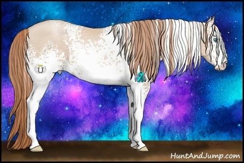Horse Color:White Spotted Smoky Black Pearl 