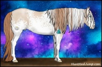 Horse Color:White Spotted Smoky Black Pearl 
