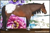 Horse Color:Bay Roan Sabino Appaloosa 