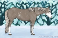 Horse Color:Silver Grullo Sabino 