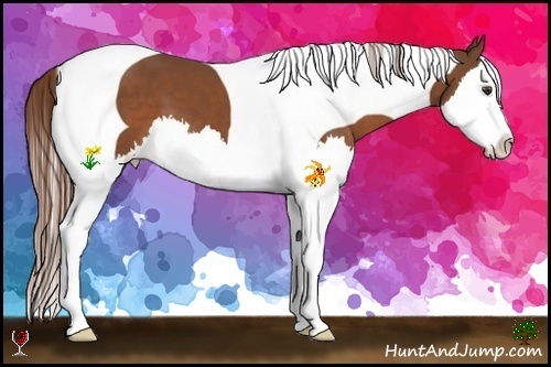 Horse Color:Chestnut Splash Tobiano 