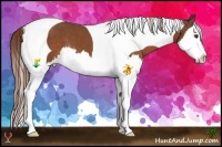 Horse Color:Chestnut Splash Tobiano