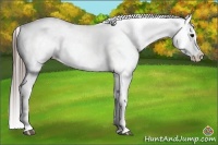 Horse Color:Black Varnish 