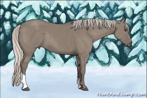 Horse Color:Silver Grullo Tobiano