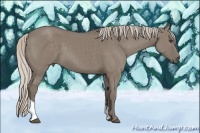 Horse Color:Silver Grullo Tobiano 