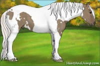 Horse Color:White Spotted Silver Grullo Tobiano