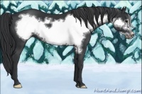 Horse Color:Black Frame 