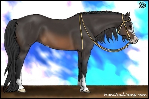 Horse Color:Buckskin Sabino 