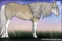 Horse Color:Silver Bay Ice Dun Splash