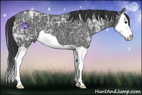 Horse Color:Black Ice Splash 