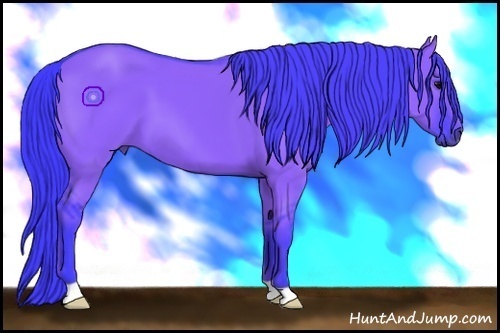 Horse Color:Watercolor Grullo 