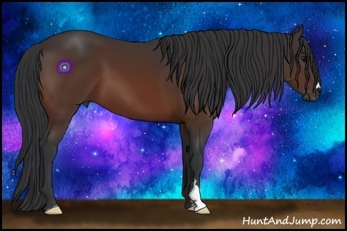 Horse Color:Bay Frame 