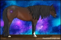 Horse Color:Bay Frame 