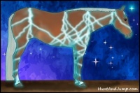 Horse Color:Thunderstruck Silver Bay 