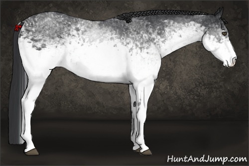 Horse Color:White Spotted Black 