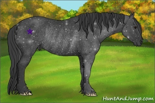 Horse Color:Smoky Black Frame Rabicano 