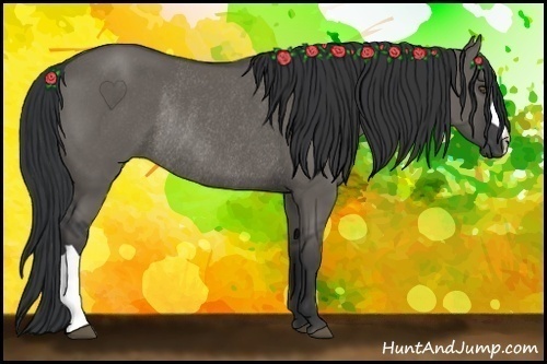 Horse Color:Grullo Rabicano 