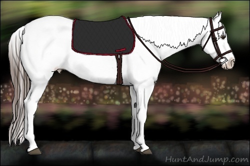 Horse Color:Liver Red Dun Roan Varnish