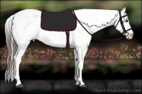 Horse Color:Liver Red Dun Roan Varnish